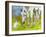 Best Friends-Blenda Tyvoll-Framed Giclee Print