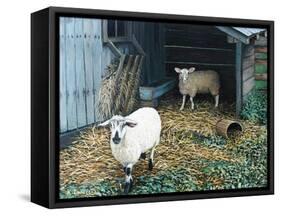 Best Friends-Kevin Dodds-Framed Stretched Canvas