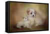 Best Friends-Jai Johnson-Framed Stretched Canvas