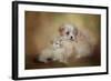 Best Friends-Jai Johnson-Framed Giclee Print