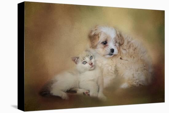 Best Friends-Jai Johnson-Stretched Canvas