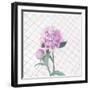 Best in Show - Peony-Charlotte Hardy-Framed Giclee Print