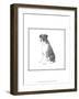 Best in Show XI-Megan Meagher-Framed Art Print