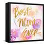 Best Mom Ever-Lanie Loreth-Framed Stretched Canvas