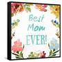 Best Mom EVER-Lanie Loreth-Framed Stretched Canvas