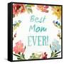 Best Mom EVER-Lanie Loreth-Framed Stretched Canvas