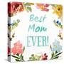 Best Mom EVER-Lanie Loreth-Stretched Canvas