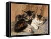 Best of Friends-Henriette Ronner-Knip-Framed Stretched Canvas