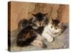 Best of Friends-Henriette Ronner-Knip-Stretched Canvas