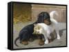 Best of Friends-Heinrich Sperling-Framed Stretched Canvas