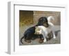 Best of Friends-Heinrich Sperling-Framed Giclee Print