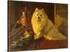 Best of Friends-Barker Wright-Stretched Canvas