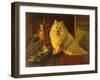 Best of Friends-Barker Wright-Framed Giclee Print