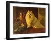 Best of Friends-Barker Wright-Framed Giclee Print