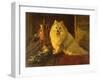 Best of Friends-Barker Wright-Framed Giclee Print