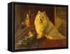 Best of Friends-Barker Wright-Framed Stretched Canvas