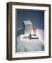 Best Selling Christmas Gifts - Lacquered Items-Nina Leen-Framed Photographic Print