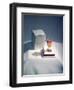 Best Selling Christmas Gifts - Lacquered Items-Nina Leen-Framed Photographic Print