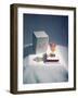 Best Selling Christmas Gifts - Lacquered Items-Nina Leen-Framed Photographic Print