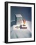 Best Selling Christmas Gifts - Lacquered Items-Nina Leen-Framed Photographic Print