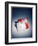 Best Selling Christmas Gifts - Napkins and Cards-Nina Leen-Framed Photographic Print