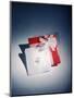 Best Selling Christmas Gifts - Napkins and Cards-Nina Leen-Mounted Photographic Print