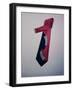 Best Selling Christmas Gifts - Red Tie-Nina Leen-Framed Photographic Print