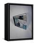 Best Selling Christmas Gifts - Strauss Waltze Book-Nina Leen-Framed Stretched Canvas