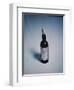 Best Selling Christmas Gifts - York House Wine-Nina Leen-Framed Photographic Print