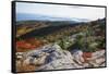 Best View from the Cadillac Mountain-George Oze-Framed Stretched Canvas