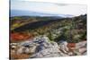 Best View from the Cadillac Mountain-George Oze-Stretched Canvas