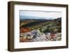 Best View from the Cadillac Mountain-George Oze-Framed Photographic Print