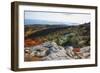 Best View from the Cadillac Mountain-George Oze-Framed Photographic Print