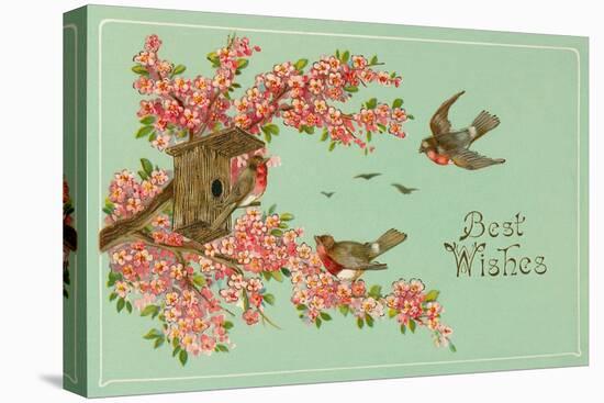 Best Wishes, Bird House-null-Stretched Canvas