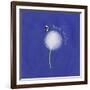 Best Wishes Dandelion-Leslie Wing-Framed Giclee Print