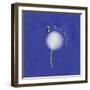 Best Wishes Dandelion-Leslie Wing-Framed Giclee Print