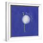 Best Wishes Dandelion-Leslie Wing-Framed Giclee Print