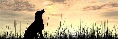 Concept or Conceptual Young Beautiful Black Cute Dog Silhouette in Grass or Meadow over a Sky at Su-bestdesign36-Photographic Print