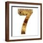 Brown Frame