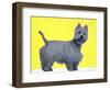 Bestie Westie-Anne Storno-Framed Giclee Print