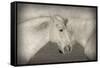 Besties-Valda Bailey-Framed Stretched Canvas