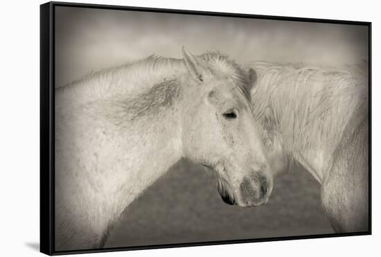 Besties-Valda Bailey-Framed Stretched Canvas