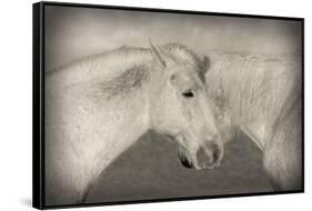 Besties-Valda Bailey-Framed Stretched Canvas