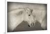 Besties-Valda Bailey-Framed Photographic Print