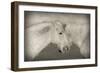 Besties-Valda Bailey-Framed Photographic Print