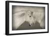 Besties-Valda Bailey-Framed Photographic Print