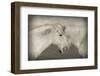 Besties-Valda Bailey-Framed Photographic Print