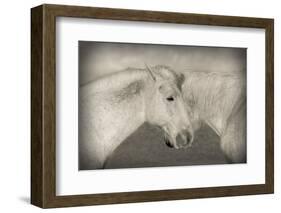 Besties-Valda Bailey-Framed Photographic Print