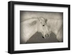 Besties-Valda Bailey-Framed Photographic Print