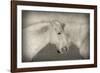 Besties-Valda Bailey-Framed Photographic Print